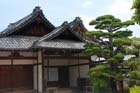 2624_Nara