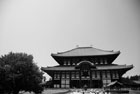 2635_TodaijiTemple@Nara