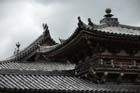 3281_Uji