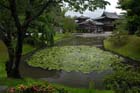 3295_Uji