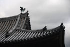 3347_Uji
