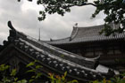 3349_Uji