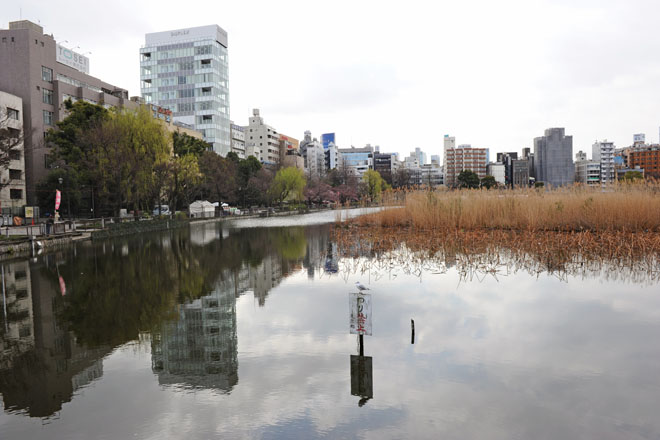 DSC_0014Tokyo