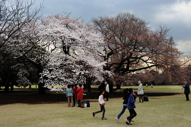 DSC_0164Tokyo