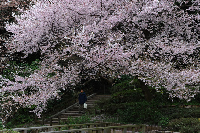 DSC_0219Tokyo