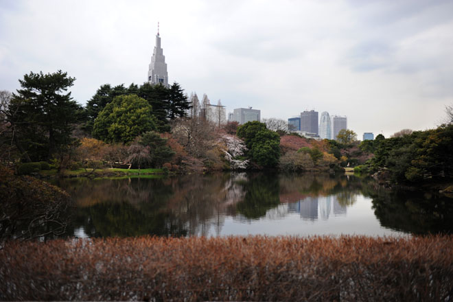 DSC_0243Tokyo