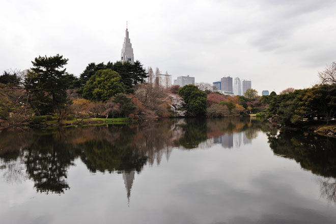 DSC_0247Tokyo