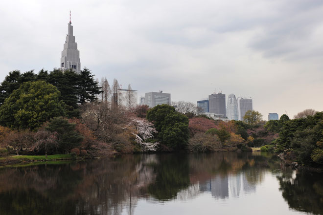 DSC_0250Tokyo