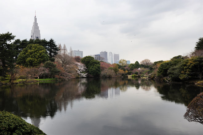 DSC_0257Tokyo
