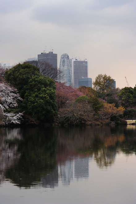 DSC_0266Tokyo