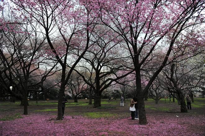 DSC_0284Tokyo