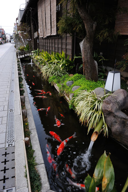 DSC_0747Kawagoe