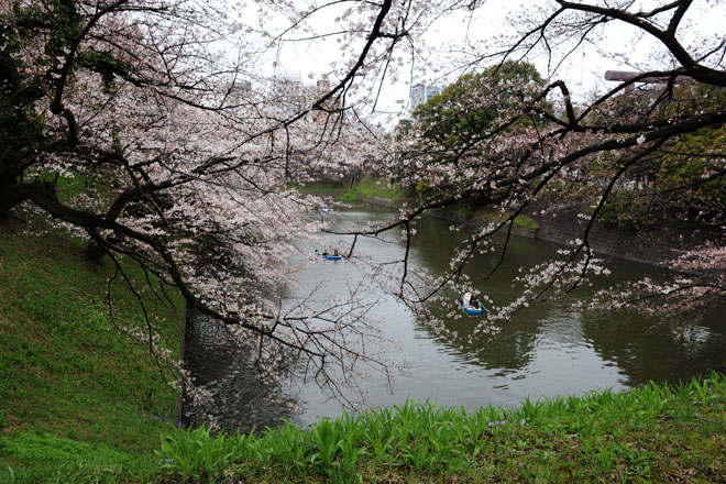 DSC_0786Tokyo
