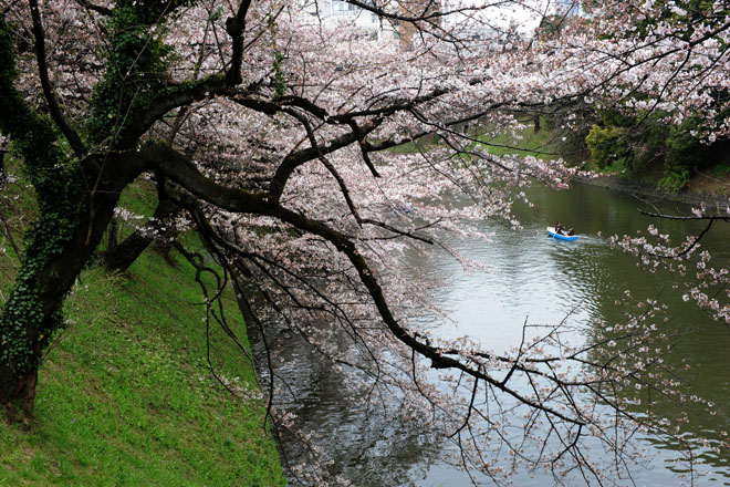 DSC_0789Tokyo
