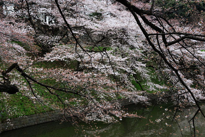 DSC_0829Tokyo