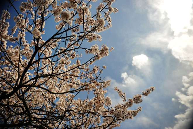 DSC_1097Kofu