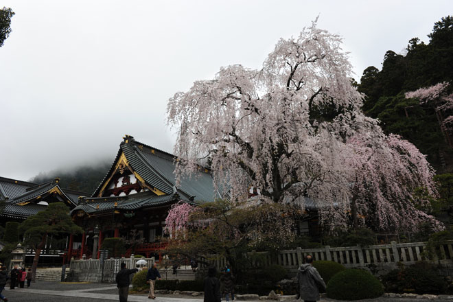 DSC_1109Minobu