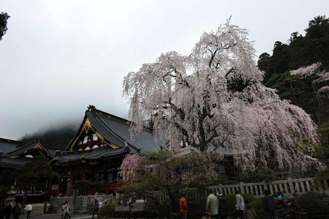 DSC_1112Minobu