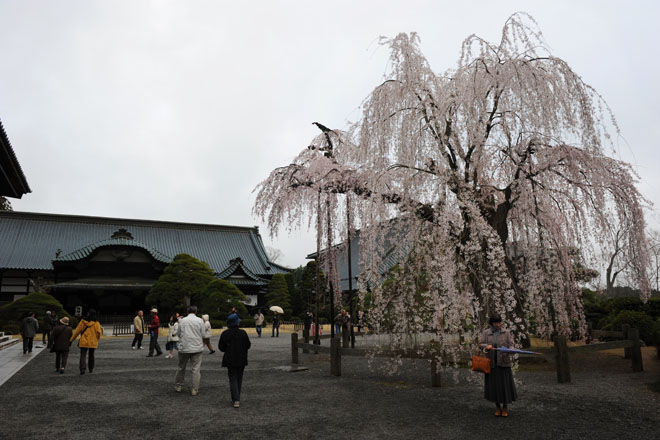 DSC_1117Minobu