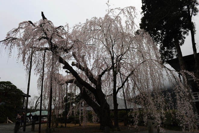 DSC_1118Minobu