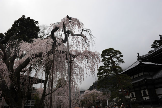 DSC_1121Minobu