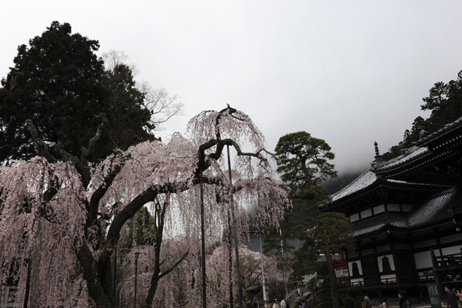 DSC_1122Minobu
