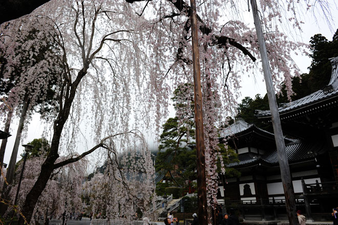DSC_1127Minobu