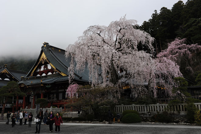 DSC_1136Minobu