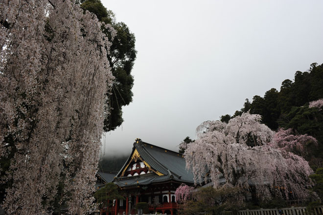 DSC_1143Minobu