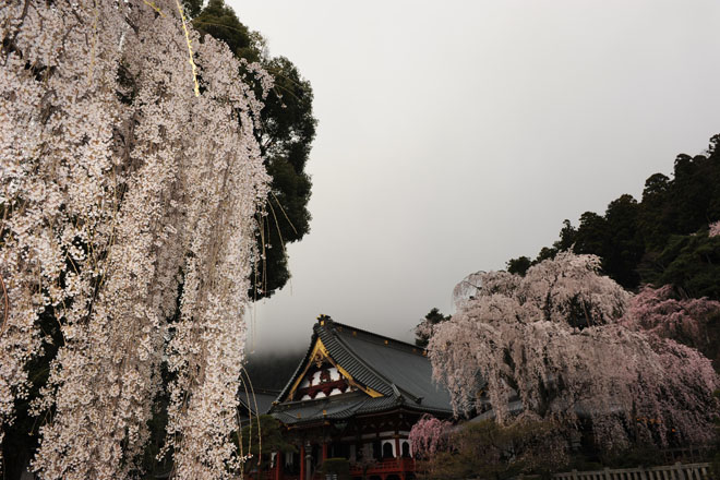 DSC_1144Minobu