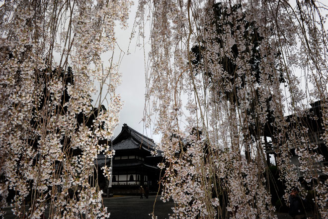 DSC_1145Minobu