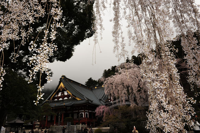 DSC_1148Minobu