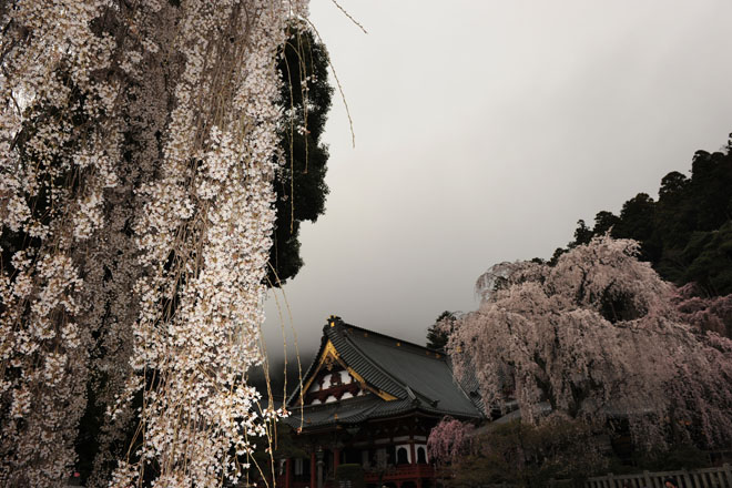 DSC_1149Minobu