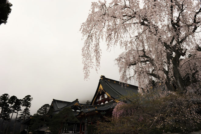 DSC_1150Minobu