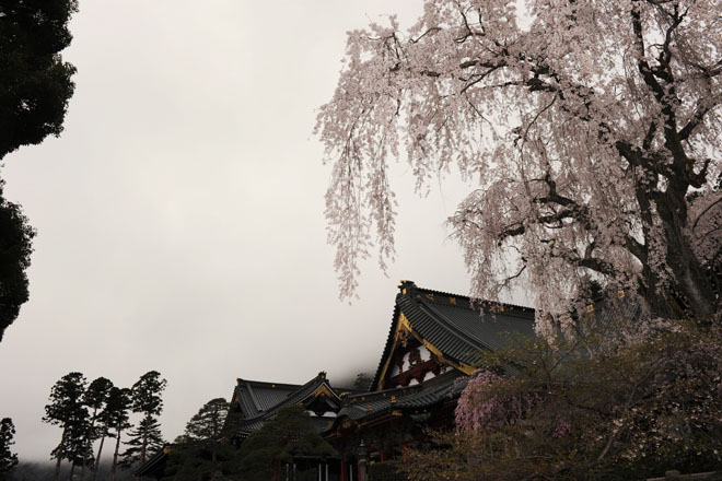 DSC_1155Minobu