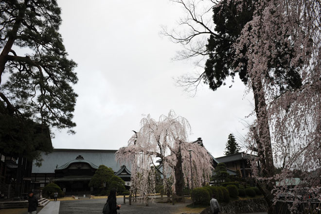 DSC_1160Minobu
