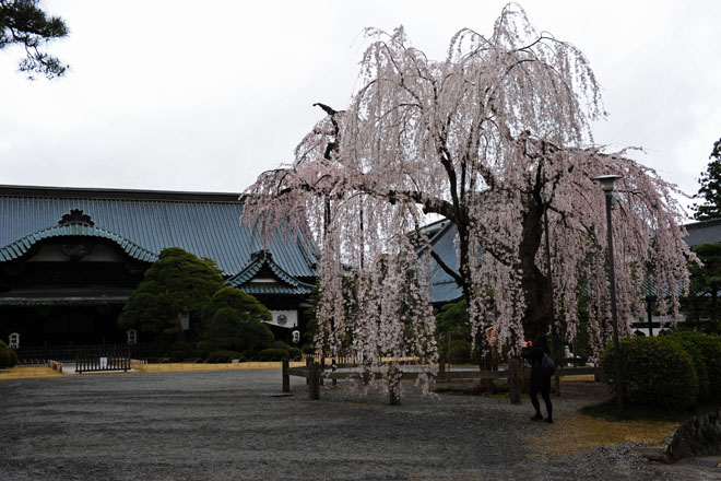 DSC_1161Minobu