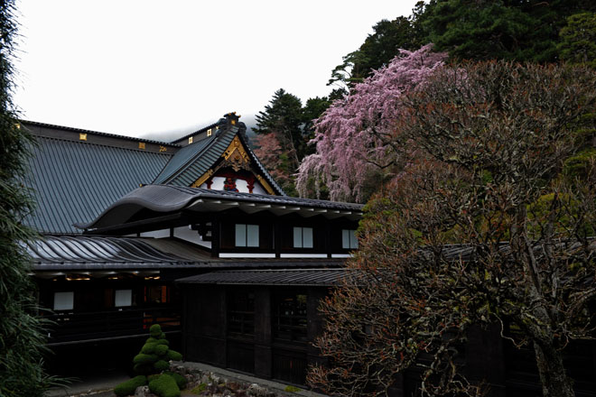 DSC_1162Minobu