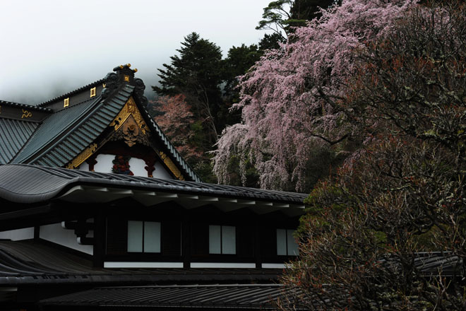 DSC_1164Minobu