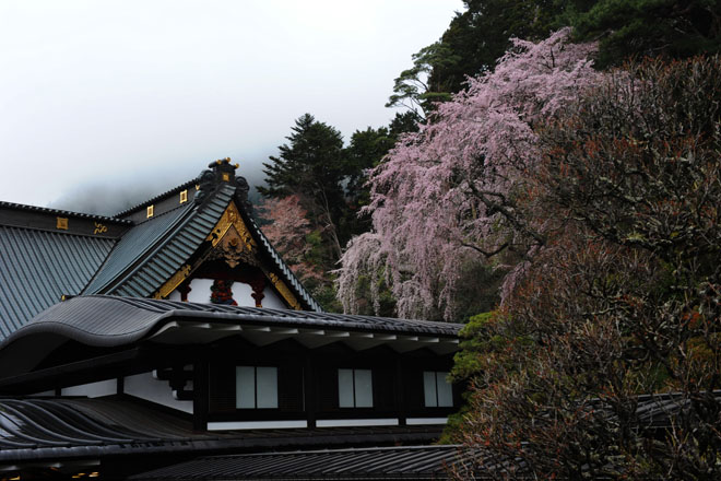 DSC_1167Minobu