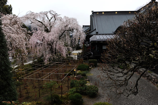 DSC_1168Minobu