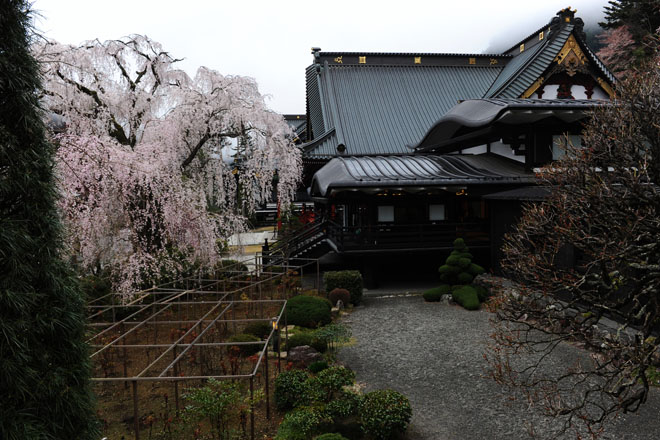 DSC_1171Minobu
