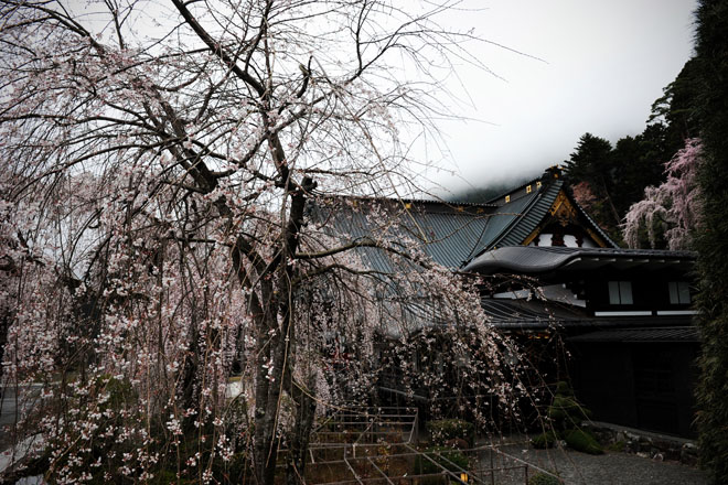 DSC_1174Minobu