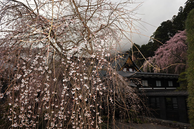 DSC_1180Minobu