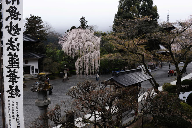 DSC_1182Minobu