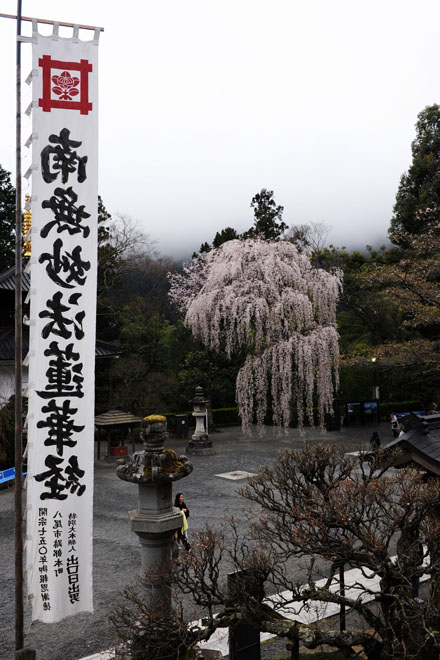 DSC_1185Minobu