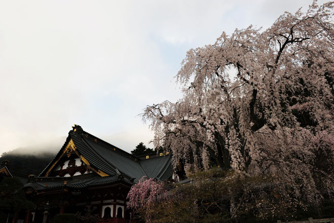 DSC_1191Minobu