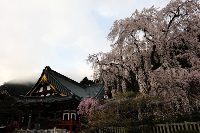 DSC_1192Minobu