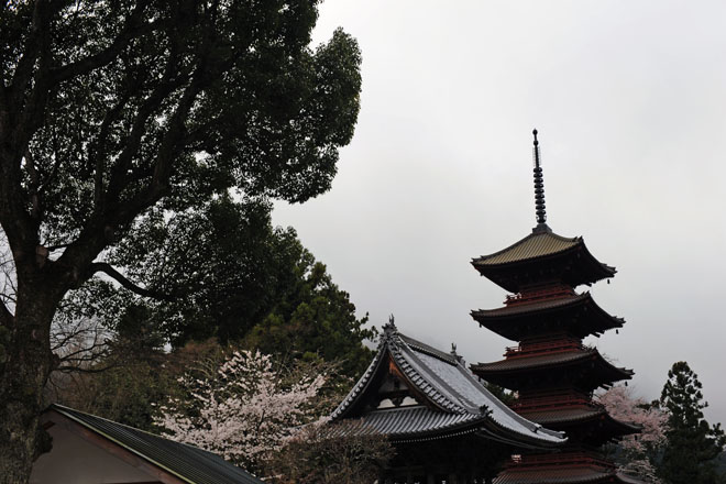 DSC_1194Minobu