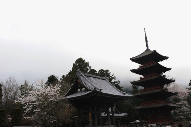 DSC_1199Minobu